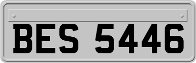 BES5446