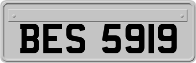 BES5919