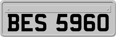 BES5960