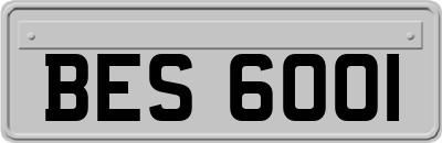 BES6001