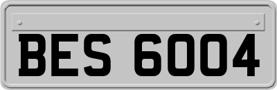 BES6004