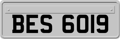 BES6019