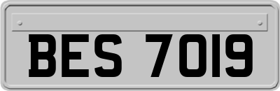 BES7019