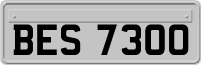 BES7300