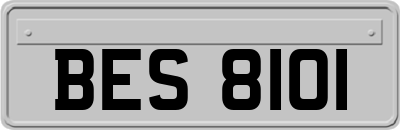 BES8101