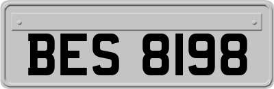 BES8198