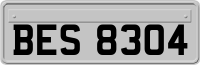 BES8304