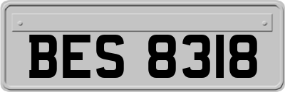 BES8318