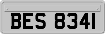 BES8341