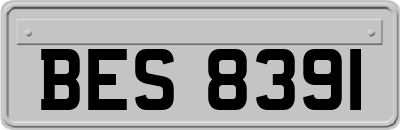 BES8391