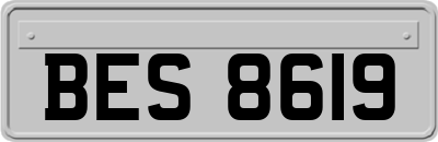 BES8619