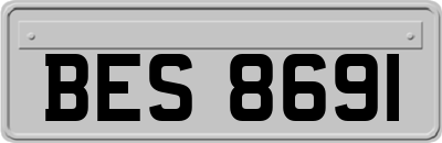 BES8691