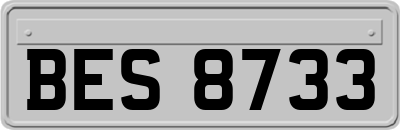 BES8733