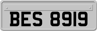 BES8919