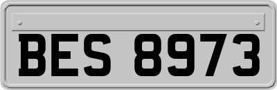 BES8973