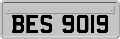 BES9019