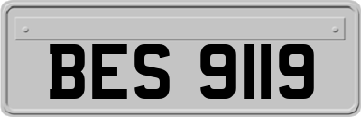 BES9119