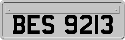 BES9213