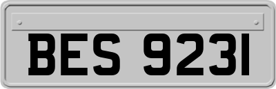 BES9231