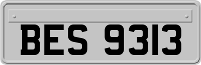 BES9313