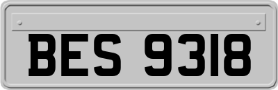 BES9318