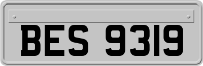 BES9319