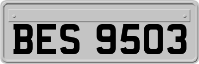 BES9503