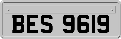 BES9619