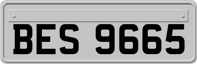 BES9665