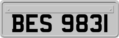 BES9831