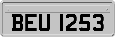 BEU1253