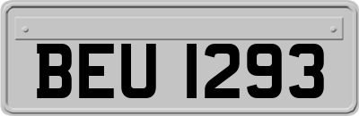 BEU1293