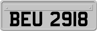 BEU2918