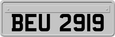 BEU2919