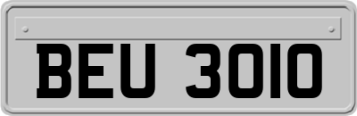 BEU3010