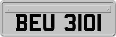 BEU3101