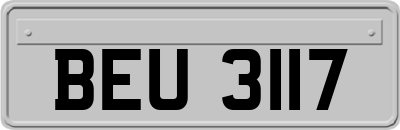 BEU3117