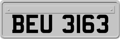 BEU3163