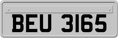 BEU3165