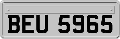 BEU5965