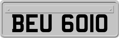 BEU6010