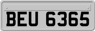 BEU6365