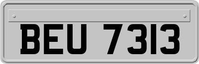 BEU7313