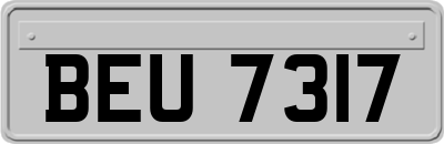 BEU7317