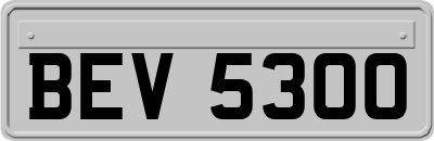 BEV5300