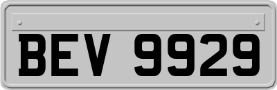 BEV9929