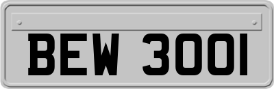 BEW3001