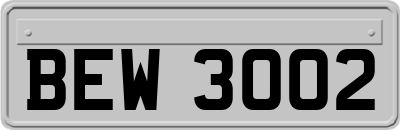 BEW3002