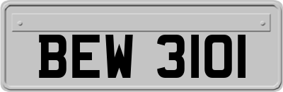 BEW3101