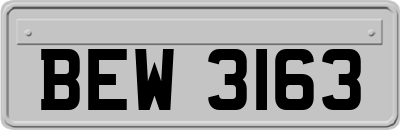 BEW3163